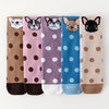 Pack Of 5 Pairs Of Cartoon Socks