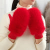 Warm Plush Gloves