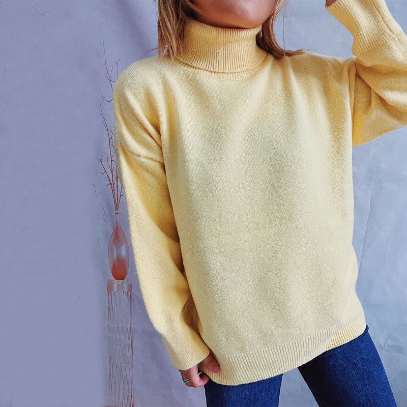 Casual Solid Colour Knit Sweater