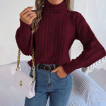 Casual Solid Colour Knit Sweater